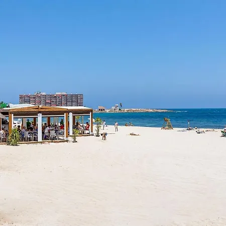 Locos Coloso 5 * Torrevieja